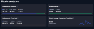 Bitcoin analytics